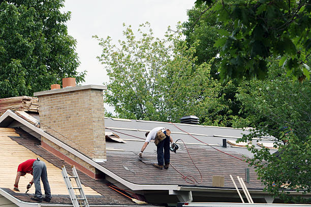 Roof Gutter Cleaning in Enochville, NC